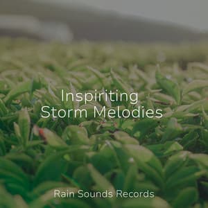 Inspiriting Storm Melodies - Relax Meditate Sleep