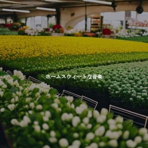 ホームスウィートな音楽 - Summer Jazz