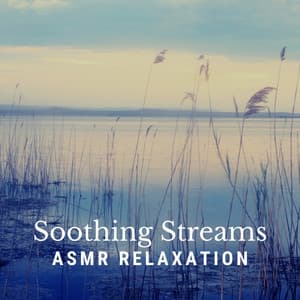 Soothing Streams: ASMR Relaxation - Aquamoon