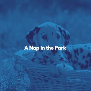 A Nap in the Park - Doggy Music Radio