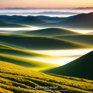 Relaxing Music to Unwind, for Napping, Meditation, to Release Tension 2 - Meditationsmusik