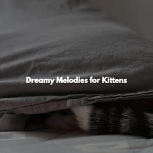 Dreamy Melodies for Kittens - Alternative Jazz Lounge Delight