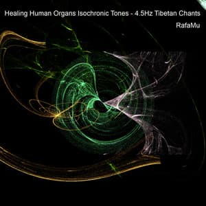 Healing Human Organs Isochronic Tones - 4.5Hz Tibetan Chants - RafaMu