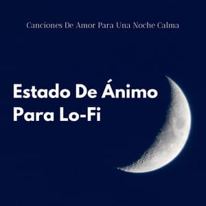 En El Estado De Ánimo Para Lo-Fi: Canciones De Amor Para Una Noche Calma - Lofi Dormir relajarse y estudiar