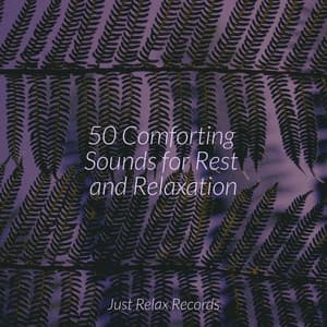 50 Comforting Sounds for Rest and Relaxation - Meditation Spa