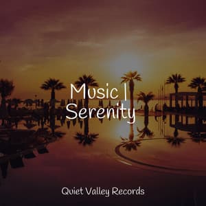 Music | Serenity - Tinnitus Aid