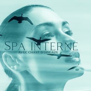 Spa interne avec chant d'oiseaux: Relaxation et soulagement naturels - Spa Musique Collection