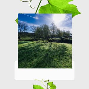 Aromatherapy - 1 Hour Spa Music