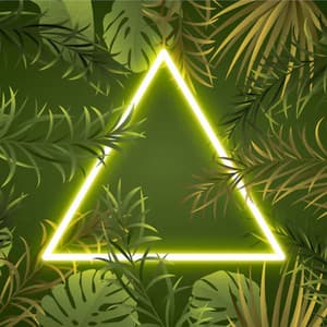 Jungle Green Shadows, Clear Air, Open Heart - Djz Major