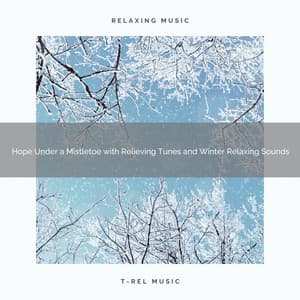 Hope Under a Mistletoe with Relieving Tunes and Winter Relaxing Sounds - Christmas White Noise