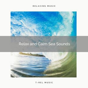 ! ! ! ! ! ! ! ! ! ! Relax and Calm Sea Sounds - Ocean Waves Sleep Aid