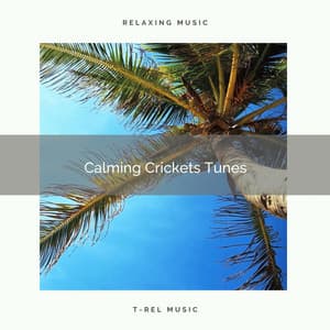 2021 Calming Crickets Tunes - Sleep Crickets