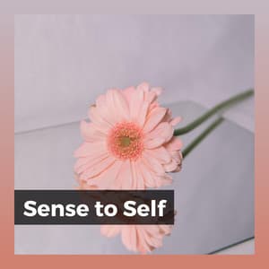 Sense to Self - The Solfeggio Peace Orchestra