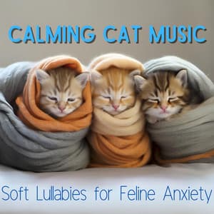 Calming Cat Music - Soft Lullabies for Feline Anxiety - Relax My Cat