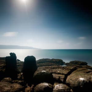 ! ! ! ! Moonlit - Música Relajante