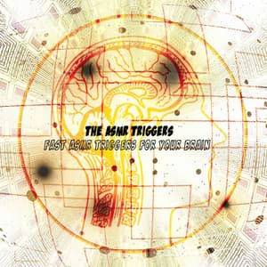 Fast ASMR Triggers For Your Brain - The ASMR Triggers