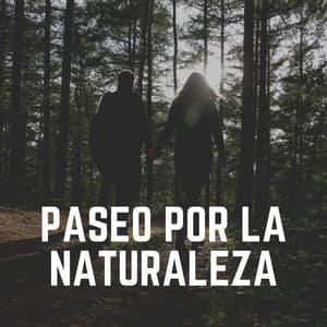 Paseo por la Naturaleza - Sonidos de la Naturaleza para Dormir