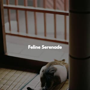 Feline Serenade - Popular Jazz Coffee Break