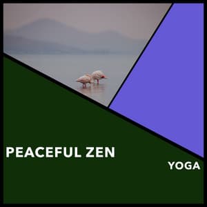 Peaceful Zen Yoga - Reiki Collective