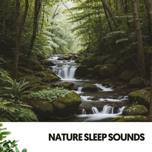 Nature Sleep Sounds: Serenity in Symphony - Ruido Blanco Hart