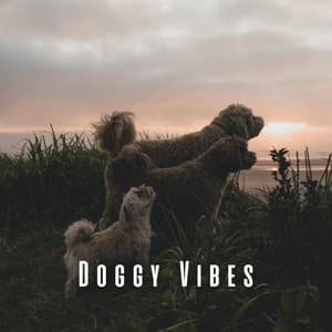 Doggy Vibes: Chill Lofi Tracks for Peaceful Moments - Simple Lo-Fi