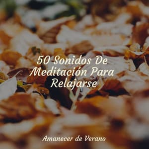 50 Sonidos De Meditación Para Relajarse - Smart Baby Lullaby