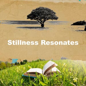 Stillness Resonates - Study Music Club