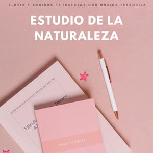 Estudio De La Naturaleza: Lluvia Y Sonidos De Insectos Con Música Tranquila - Relajarse Lluvia