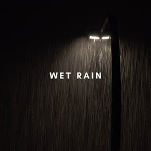 Echoes of Wet Rain - Wet Rain