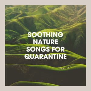 Soothing Nature Songs for Quarantine - Ambiances et sons naturels