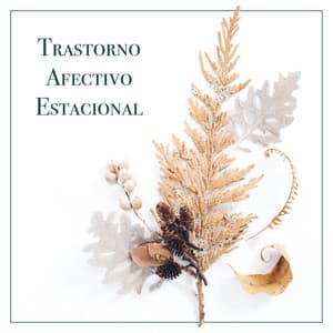 Trastorno Afectivo Estacional: Música para Mejorar el Estado Emocional y Mental en Invierno - Fuerza Positiva