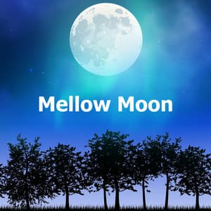 Mellow Moon - Spa Musique Massage