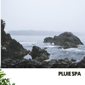 Pluie Spa : Pluie calme et vagues déferlantes - Sons de la nature