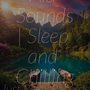 The Aid Sounds | Sleep and Chilling Out - Meditation Relaxation Club