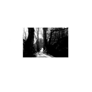 Solo - But Not Alone - Butch Lacy