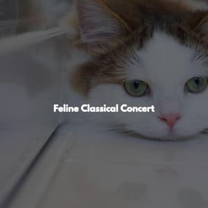 Feline Classical Concert - French Cafe Jazz Vibes