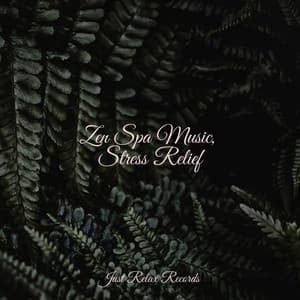 Zen Spa Music, Stress Relief - Meditation