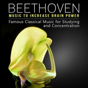Beethoven Music to Increase Brain Power - Famous Classical Music for Studying and Concentration, Deep Relaxation, Meditation & Effective Learning - Ludwig van Beethoven