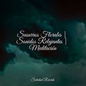 Susurros Florales | Sonidos Relajantes | Meditación - Entrenamiento Autògeno y Meditación Specialistas