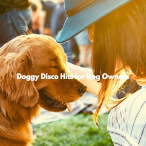 Doggy Disco Hits for Dog Owners - Sleepy Dogs
