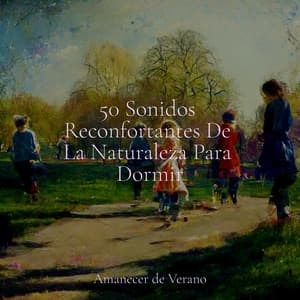 50 Sonidos Reconfortantes De La Naturaleza Para Dormir - Naturaleza Sonidos