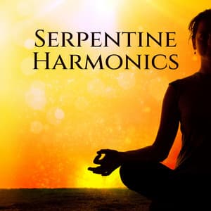 Serpentine Harmonics - Kundalini Yoga Group