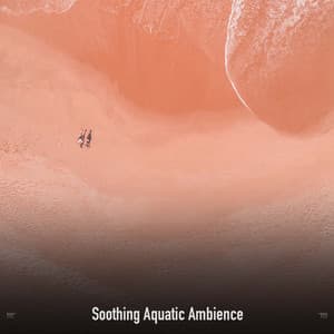 !!!!" Soothing Aquatic Ambience "!!!! - Ocean Waves