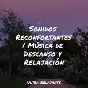 Sonidos Reconfortantes | Música de Descanso y Relajación - Musica Para Dormir