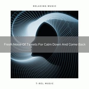Fresh Noise Of Tweets For Calm Down And Come Back - Dreamy White Noise
