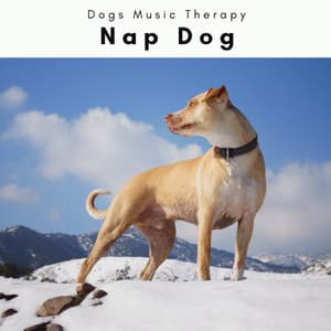 A Nap Dog - Dogs Music Therapy