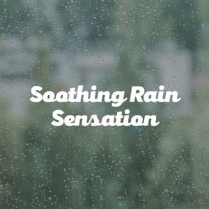 Soothing Rain Sensation - Rain Storm Sample Library