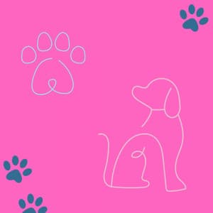 Music for A Calming Pup - Jazz Quartet - Separation Anxiety Dog Music