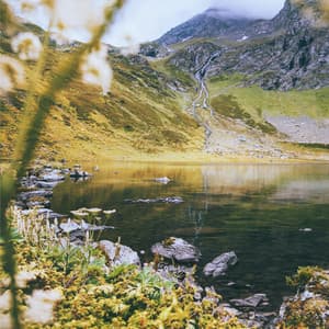 Zen Sleep Music - Música De Relajación Para Dormir Profundamente