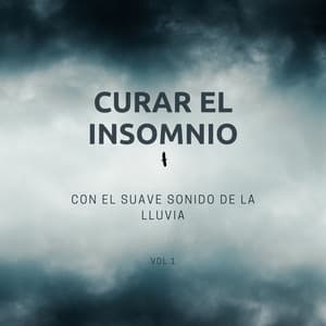 Curar El Insomnio Con El Suave Sonido De La Lluvia Vol. 1 - Sonidos de Lluvia 24H
